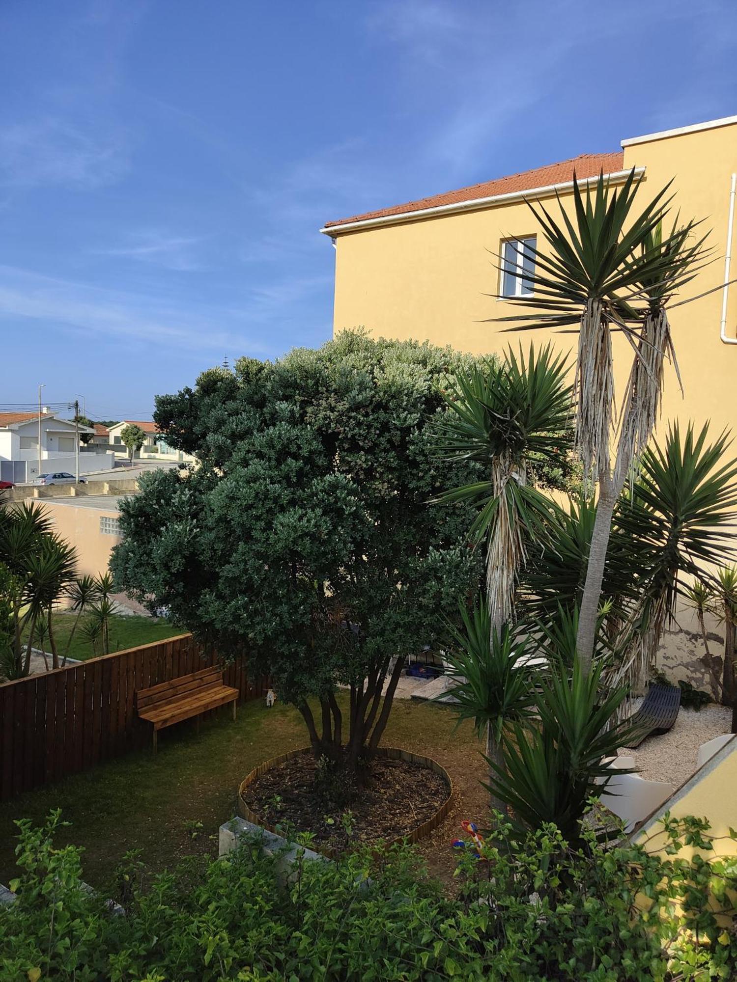 Casa Amarela Villa Cortegaça Eksteriør bilde